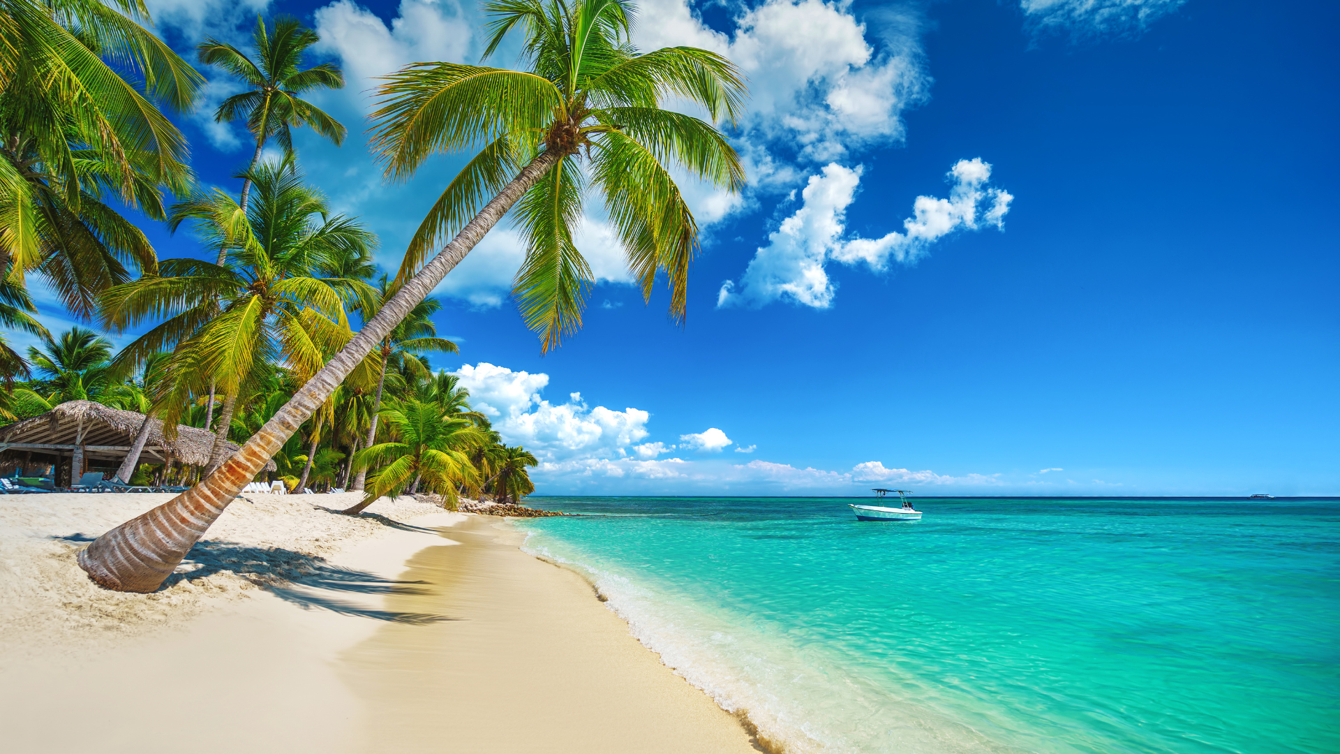 Punta Cana